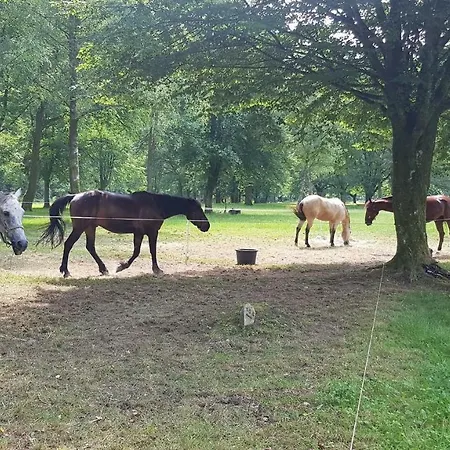 Dans Un Camping 아파트